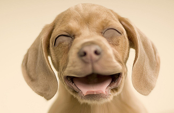 ▲ 국가인권위 사무총장에 서율시교육감을 지낸 곽노현. 후보매수죄로 대법원 유죄가 확정되었다. ⓒ