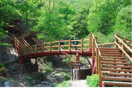 ▲ 꽃향기 가득한 역사 문화 숲길을 테마로 한 '북악 하늘길' ⓒ 서울시 제공