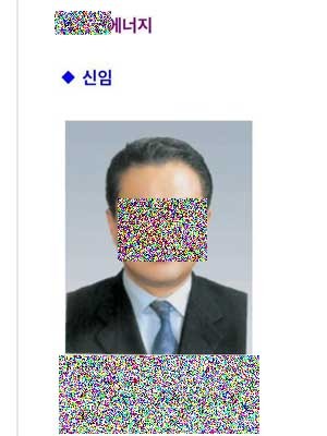 ▲ 네티즌과 블로거들이 찾아낸, 문제의 P사 W상무 증명사진.