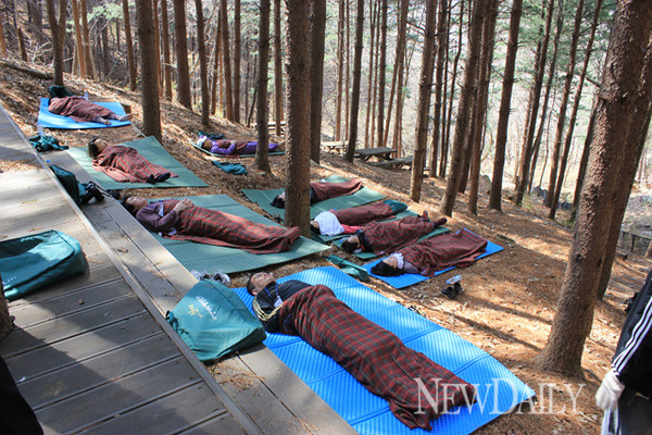 ▲ 강원도 홍천군에 위치한 힐리언스 선마을에서 숲에서 휴식을 통해 치유하고 있는 관광객들.ⓒ참살이 제공