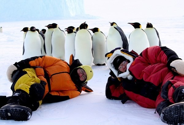 ▲ 남극의 눈물ⓒMBC