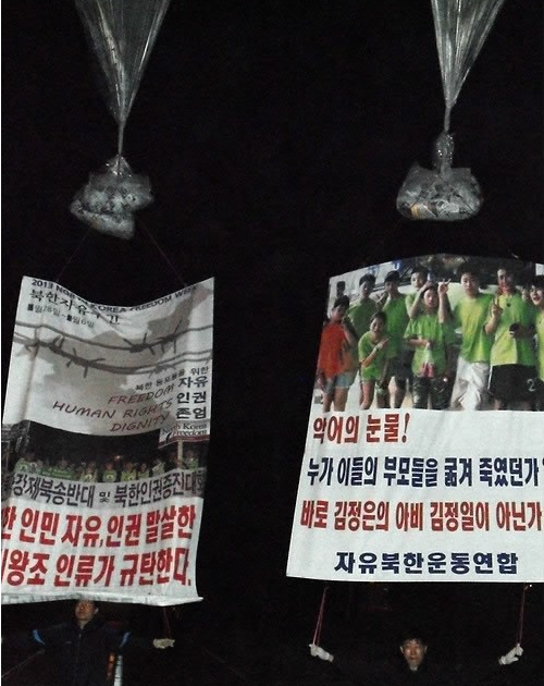 ▲ 2013.6.4 ⓒ 자유북한운동연합