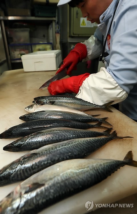 ▲ 고등어에 대한 원산지 표시가 의무화된다. ⓒ 연합뉴스