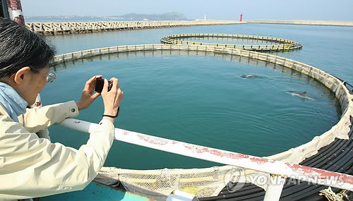 ▲ ▲서귀포 성산항의 한 가두리 양식장 ⓒ연합뉴스