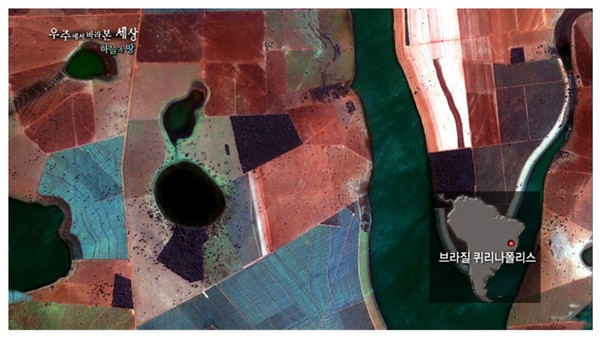 ▲ 브라질 퀴리나폴리스