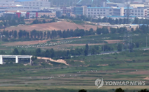 ▲ 개성공단 인근 논에서 일하는 북한 주민들의 모습. ⓒ연합뉴스