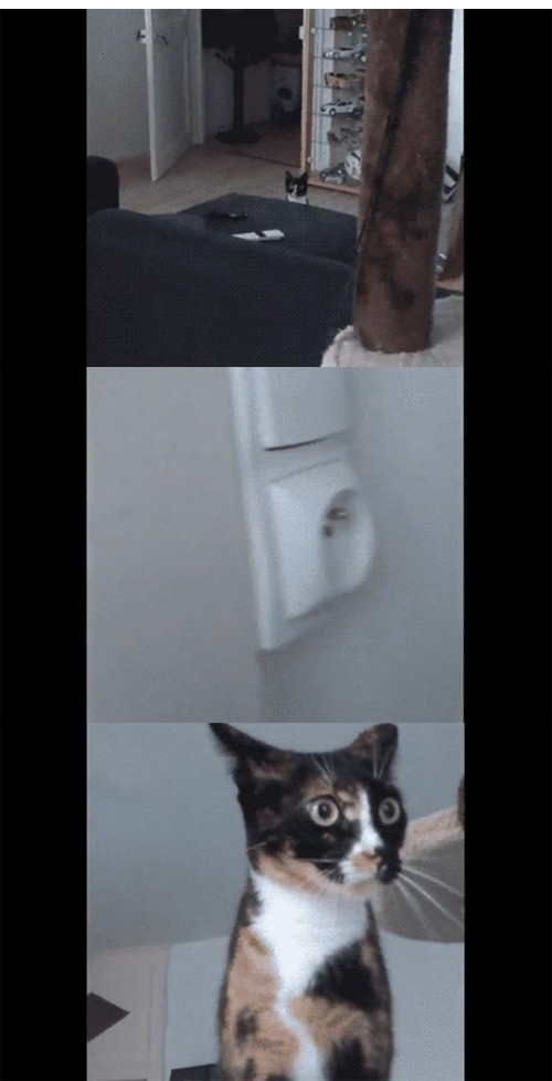 search_img