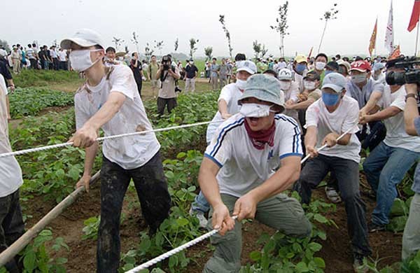 ▲ 2005년 7월 평택 대추리를 휩쓴 '평화대행진'의 모습. 밧줄 끝에는 펜스를 걸어 넘어뜨리기 위한 쇠갈고리가 달려있다.