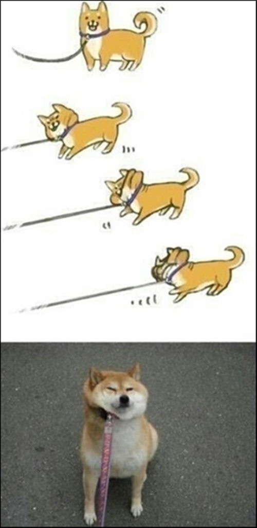 search_img