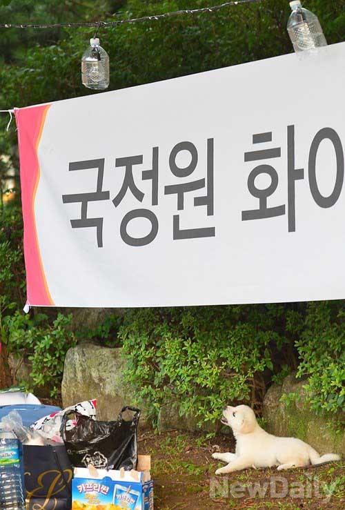 ▲ 이날 '종북감시단' 회원이 데려온 강아지. 강아지가 풀 뜯는 모습을 본 회원의 일침이 재미있었다.