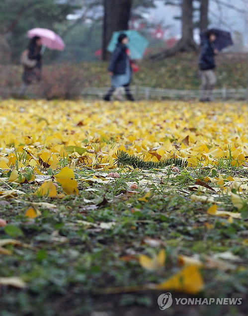 ▲ 지난해 11월 도심의 가을 풍경. ⓒ연합뉴스