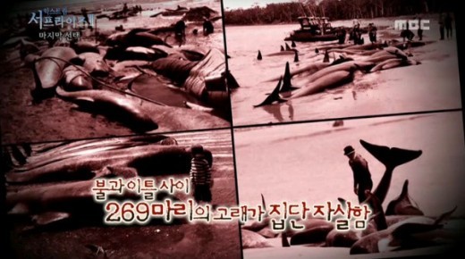 ▲ ⓒ서프라이즈 방송 캡쳐