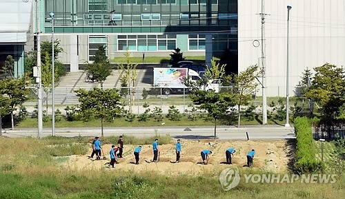 ▲ △ 북한 개성공단에서 북측 노동자들이 삽을 들고 땅을 고르고 있다. 2013.9.3 ⓒ 연합뉴스