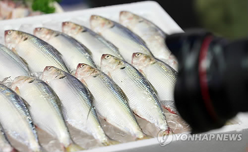 ▲ 8일 오전 성동구 롯데마트 행당역점에서 가을 전어가 소개되고 있다.ⓒ연합뉴스