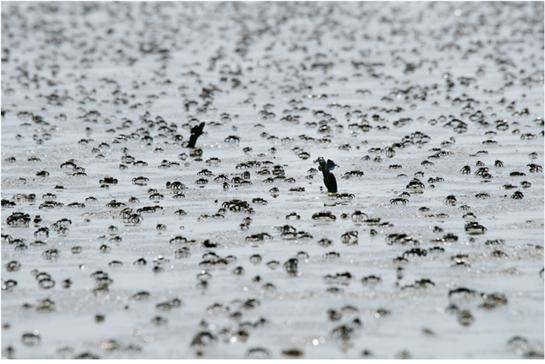 ▲ ▲ 최우수 작품 여름바다의 향연