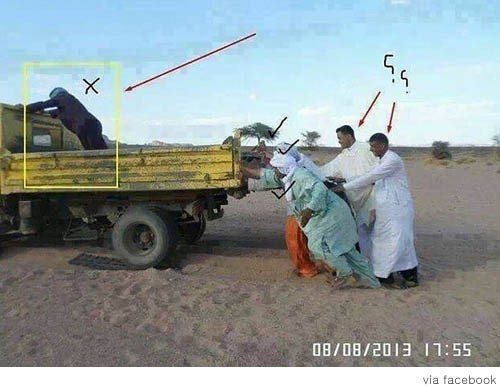 search_img