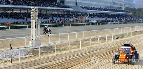 ▲ 과천 서울경마공원.ⓒ연합뉴스