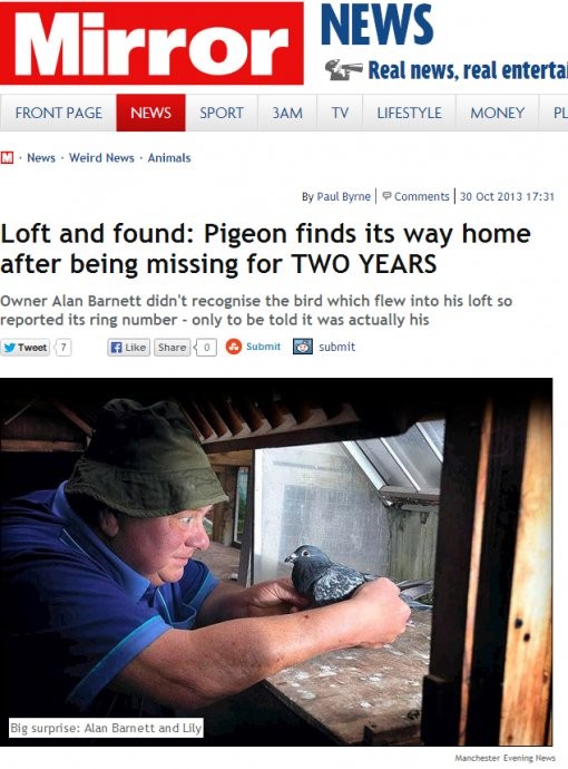 search_img
