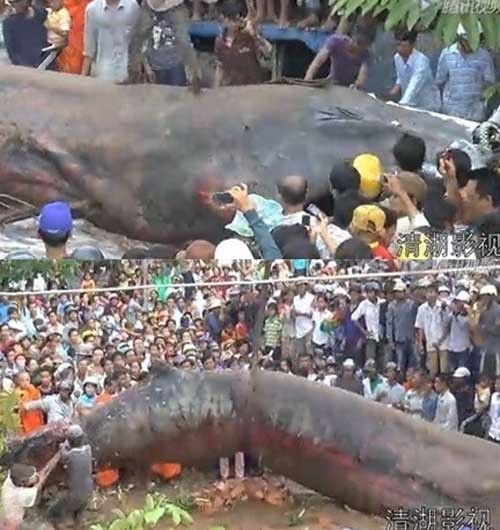 ▲ [사진: 유튜브 영상 캡쳐]