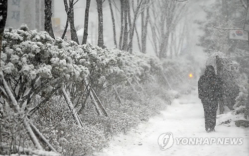 ▲ 아래 기사 내용과는 무관함