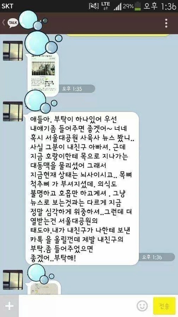 ▲ [서울대공원 참사] 직후 부상당한 사육사 심씨 자녀의 친구로 추정되는 사람이 지인들에게 보낸 문자메시지.ⓒ 화면 캡처