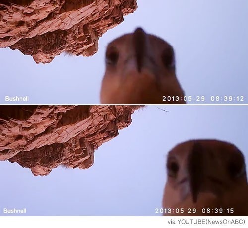search_img