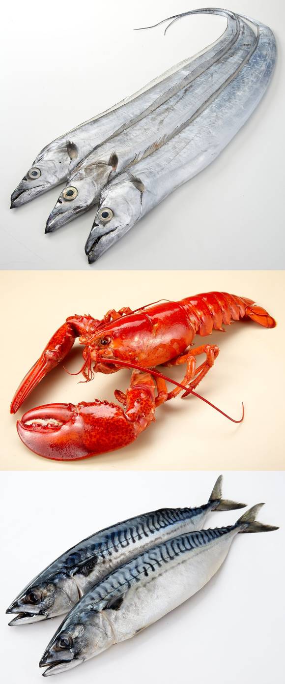 ▲ ⓒ롯데마트 제공