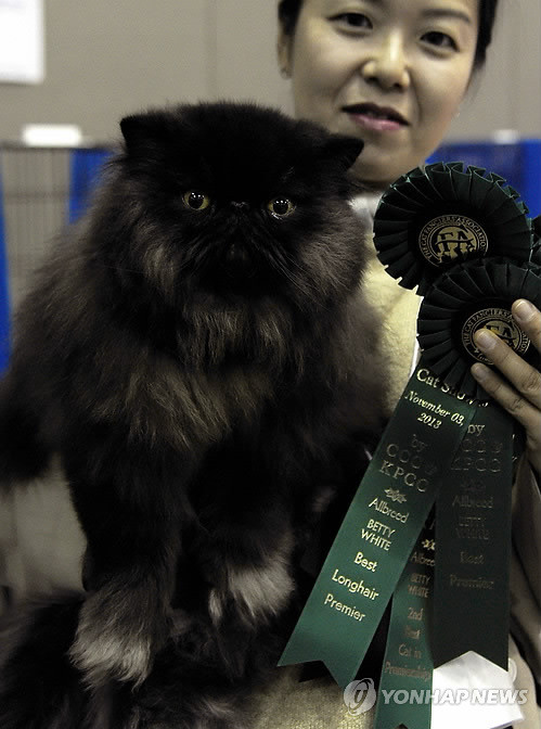 ▲ 아래 기사내용과는 무관함