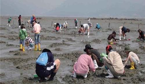 ▲ ▲ 전북 고창 하전어촌마을 갯벌체험
