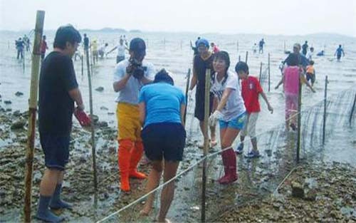 ▲ ▲경기 화성 제부어촌마을 개막이 체험