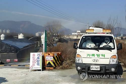 ▲ 27일 '일시 이동중지 명령'이 내려진 대전시 유성구 학하동 양계농장에서 대전시 방역차량이 소독약품을 뿌리고 있다. 2014.1.27  ⓒ 연합뉴스