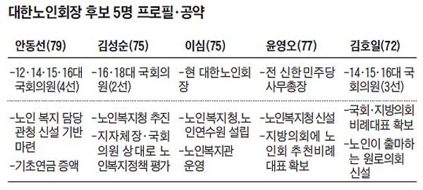 ▲ 대한노인회 회장에 도전한 후보들이 내놓은 공약. [그래픽: 조선닷컴]