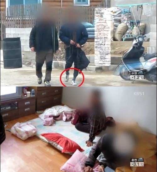 ▲ 지난 6일 KBS가 보도한 '전라도 섬노예' 보도 장면 캡쳐 화면.