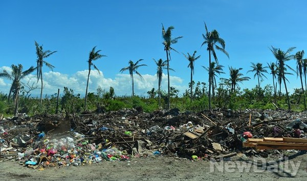 ▲ 길가에 넘치는 쓰레기  ⓒ뉴데일리 정상윤