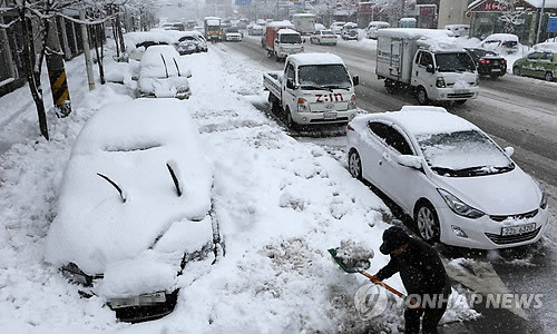 ▲ 8일 대설특보가 발효 중인 강원 동해안에 사흘째 50㎝ 이상의 눈이 쏟아지면서 강릉시내 곳곳이 온통 눈 세상으로 변했다. 이 때문에 산간도로 곳곳의 차량 통행이 통제되는 등 불편과 피해가 속출하고 있다.ⓒ 연합뉴스