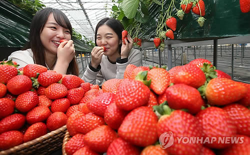 ▲ ⓒ연합뉴스 제공