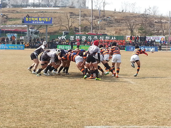 ▲ 2014 전국 춘계 럭비리그전 현장ⓒ대한럭비협회