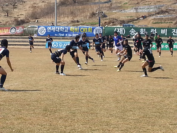 ▲ 2014년도 전국 춘계 럭비리그전 현장ⓒ대한럭비협회