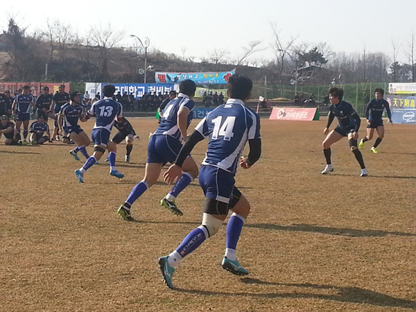 ▲ 2014년도 전국 춘계 럭비리그전 현장ⓒ대한럭비협회