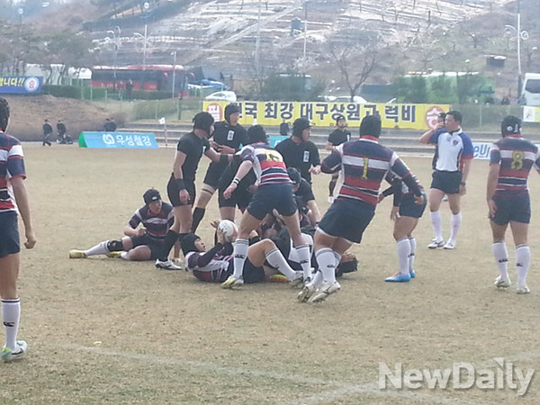 ▲ 2014년도 전국 춘계 럭비리그전이 열리는 경산 송화럭비구장ⓒ대한럭비협회