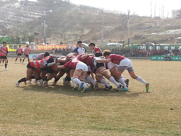 ▲ 2014년도 전국 춘계 럭비리그전ⓒ대한럭비협회