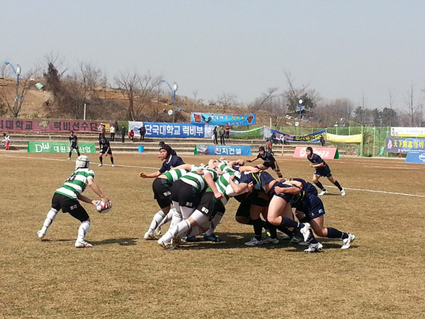 ▲ 2014년도 전국 춘계 럭비리그전ⓒ대한럭비협회