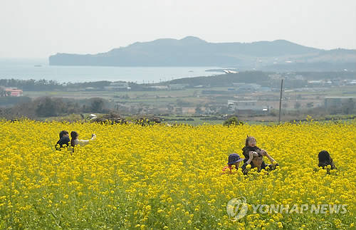 ▲ 다가오는 여름, 중국과 제주 여행 가기가 더욱 수월해 질 것으로 보인다. ⓒ사진=연합뉴스 제공