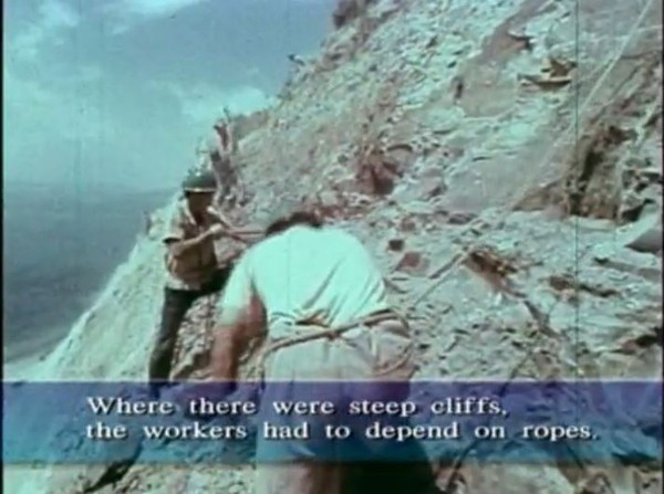 ▲ 산림복원 국제기구 전문가들도 놀라는 우리 선배들의 투혼.ⓒ산림청 동영상화면 캡쳐