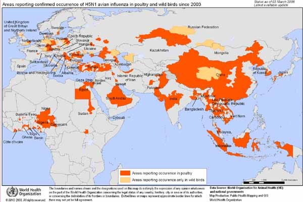 ▲ 2003년 이후 전세계에서 H5N1 신종플루가 발병한 지역의 지도. [사진: WHO]
