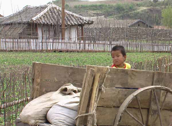 ▲ 평양 등 일부 도시를 제외한 북한 전역에서 볼 수 있는 모습. 김일성 정권 때부터 시작된 자연훼손 정책은 한 세대 뒤 북한 주민들을 지옥으로 몰아넣고 있다. [사진: 김성일 교수 제공]