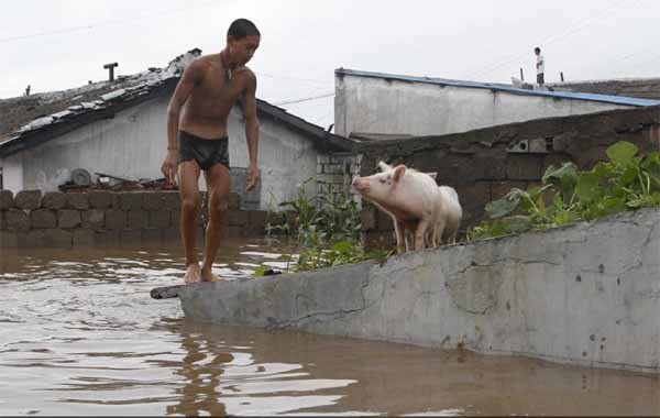 ▲ 홍수가 난 가운데 돼지를 구하려는 북한 주민. [사진: 김성일 교수 제공]