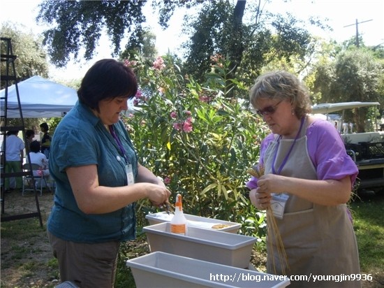 ▲ '아해'의 소유로 돼 있는 미국 캘리포니아 하일랜드 스프링스 리조트에선 매년 6월 유기농 라벤더 페스티벌이 열린다. [사진 출처 = 네이버 블로그 http://blog.naver.com/PostView.nhn?blogId=youngjin9936&logNo=10033878877&widgetTypeCall=true]
