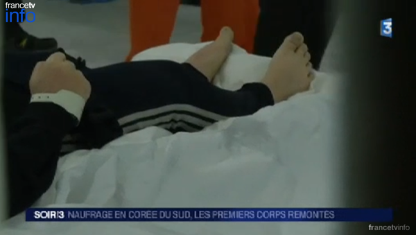 ▲ 프랑스3가 보도한 기사 내용 ⓒ 정상추 게시물 캡쳐화면