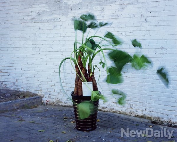 ▲ 버려진 화분-존 버거 ⓒArea Park